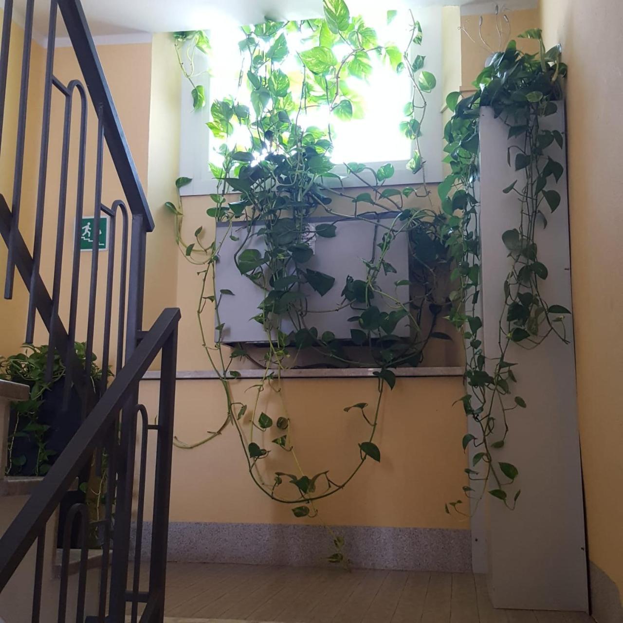 Hotel Calaluna 비엘라 외부 사진